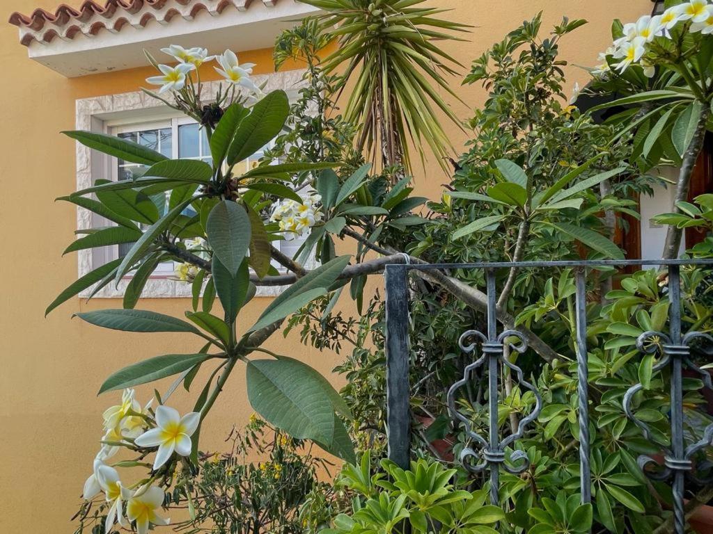 Apartamentos Ana Tazacorte Eksteriør bilde